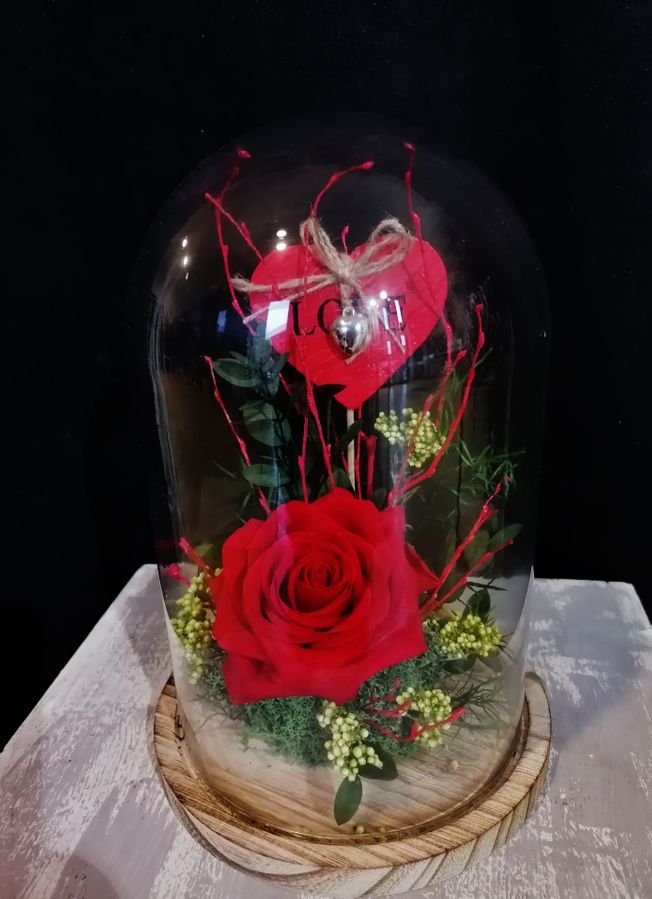 Cupula de Cristal con rosas preservadas